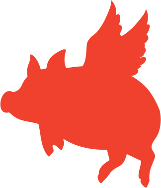 Flying Pig Detailing 